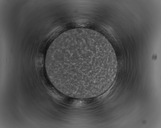 X0000098070174200804251446