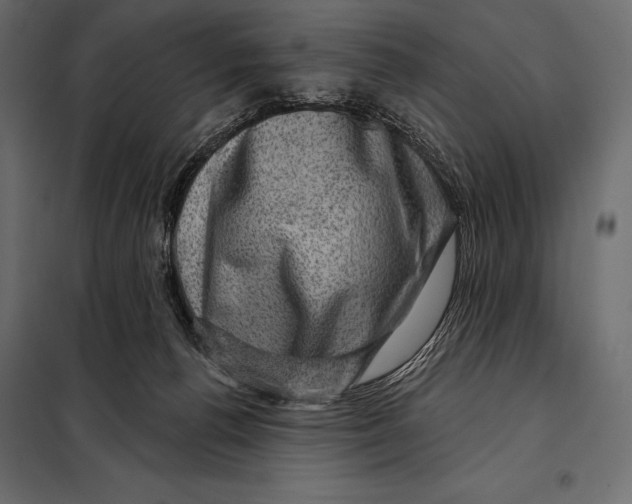 X0000098070176200804251446