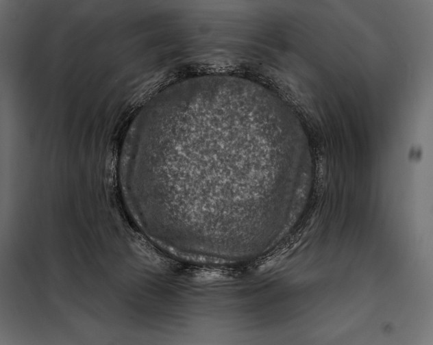 X0000098070177200804251446