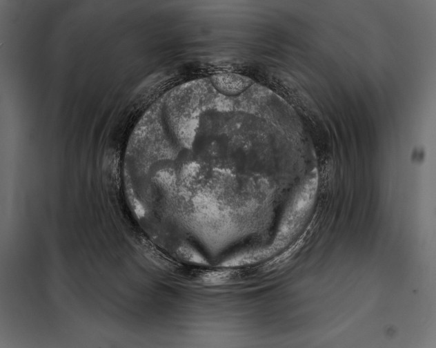 X0000098070178200804251446