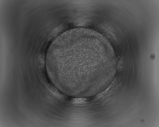 X0000098070179200804251446