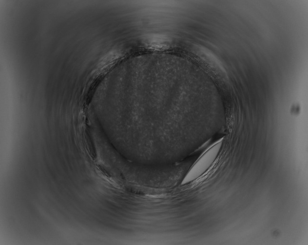 X0000098070180200804251446