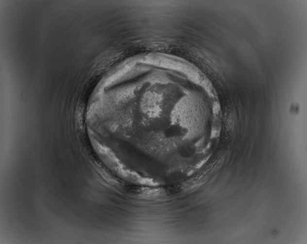 X0000098070185200804251447