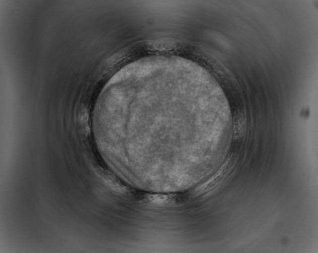 X0000098070187200804251447