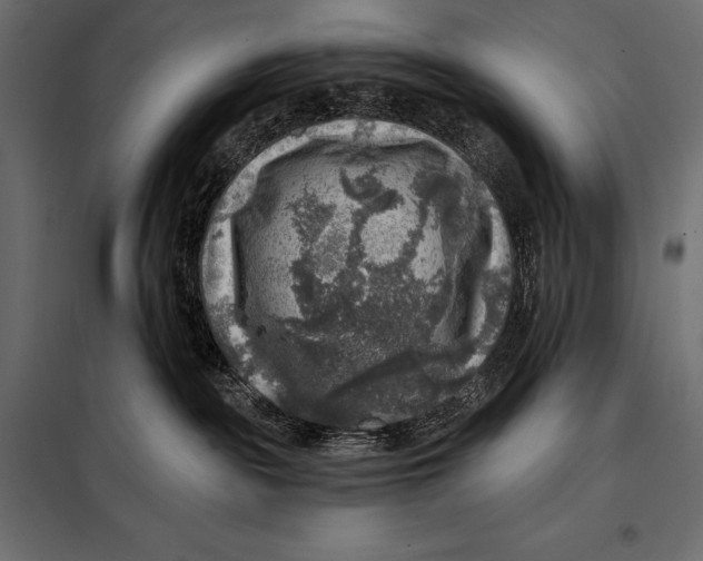 X0000098070189200804251447