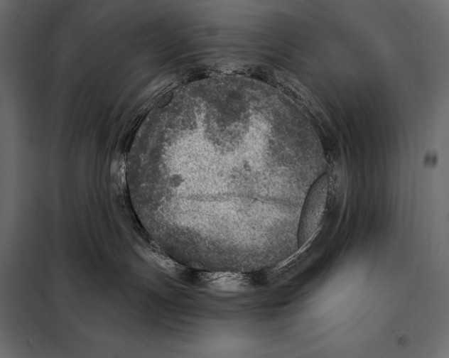 X0000098070191200804251447