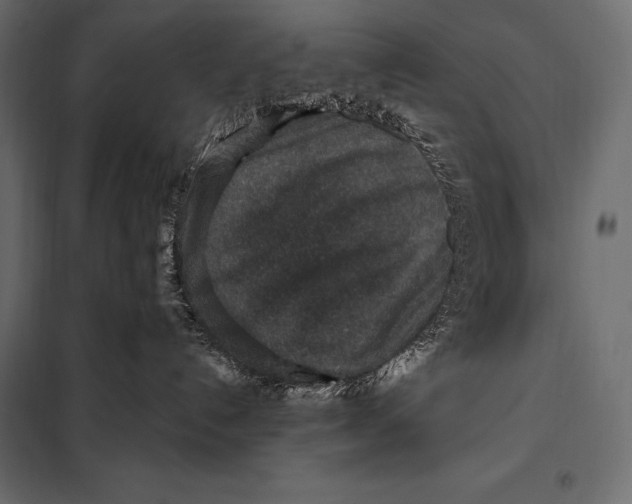 X0000098070192200804251447