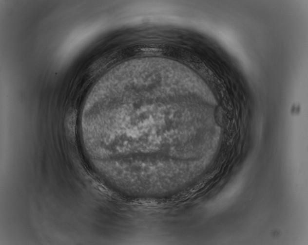 X0000098070194200804251446