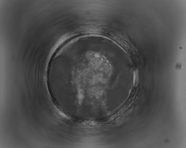 X0000098070195200804251446