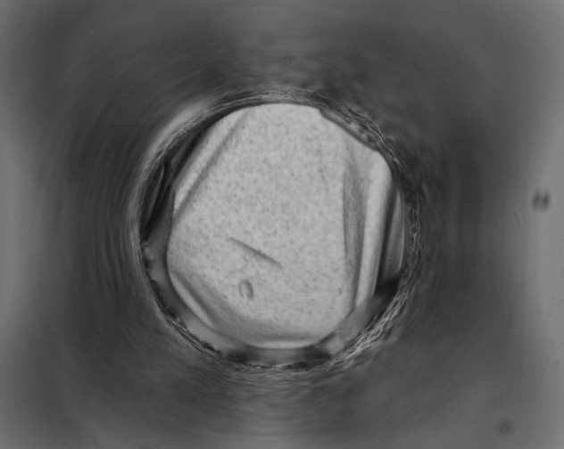 X0000098070197200804251446