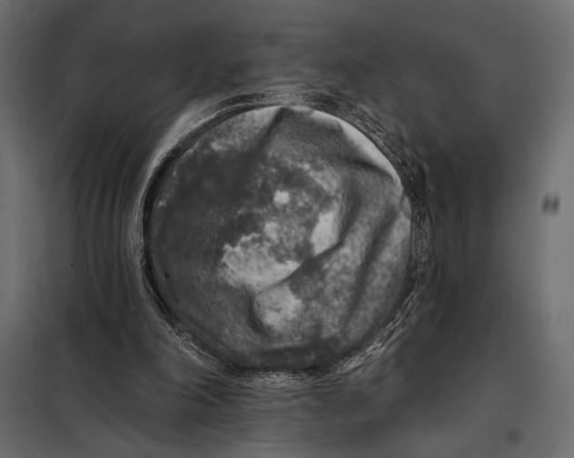 X0000098070198200804251446