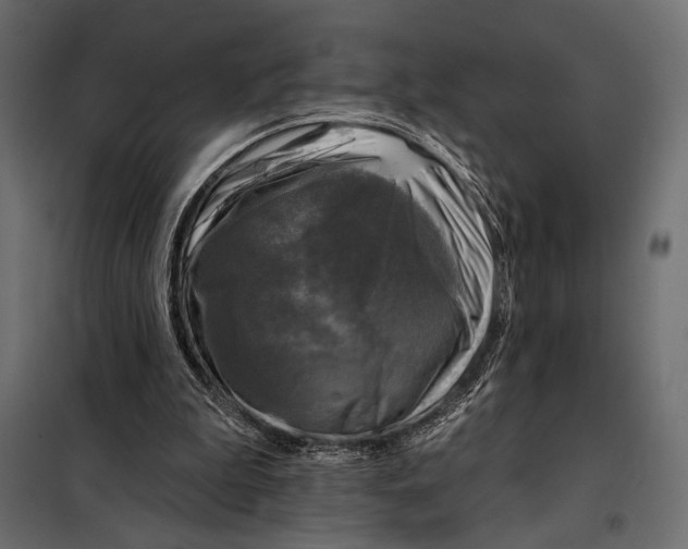 X0000098070199200804251446