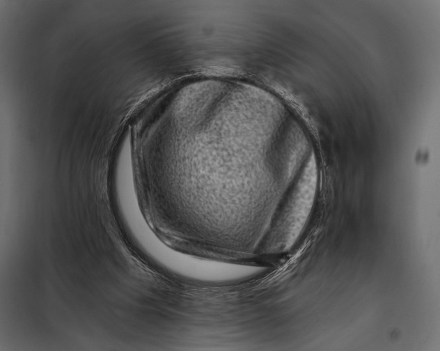 X0000098070201200804251446