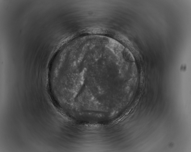 X0000098070202200804251446