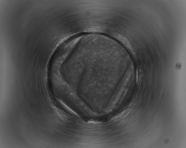 X0000098070204200804251446