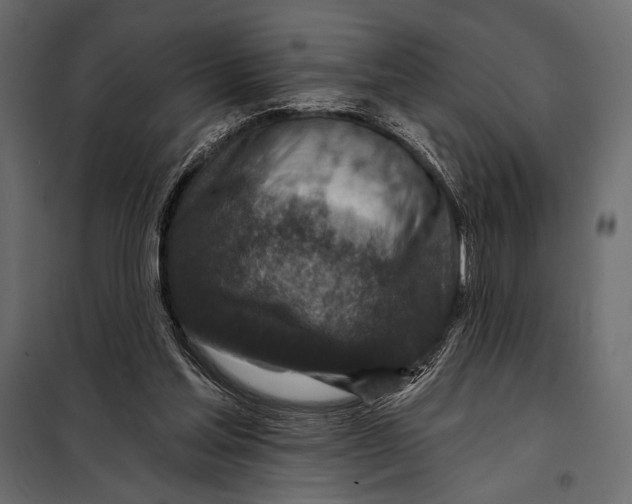 X0000098070205200804251446