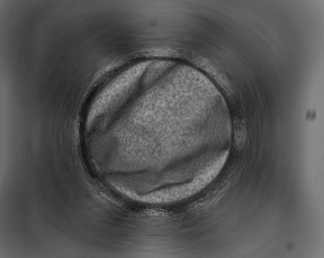 X0000098070207200804251446