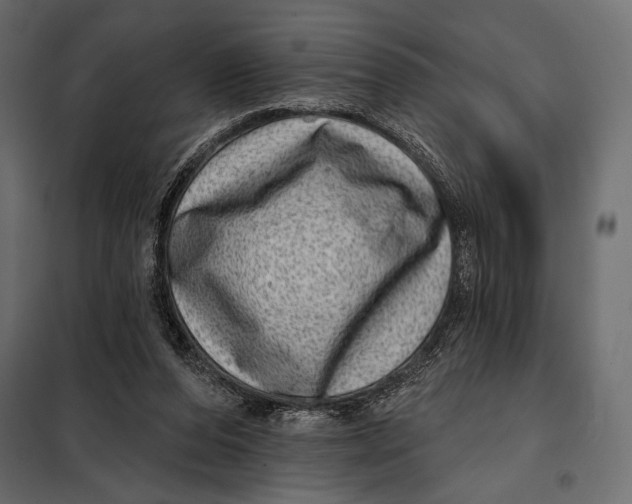 X0000098070208200804251446