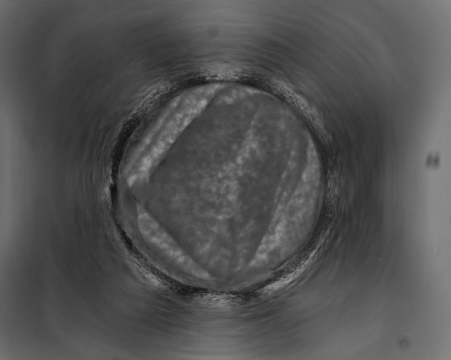 X0000098070209200804251446