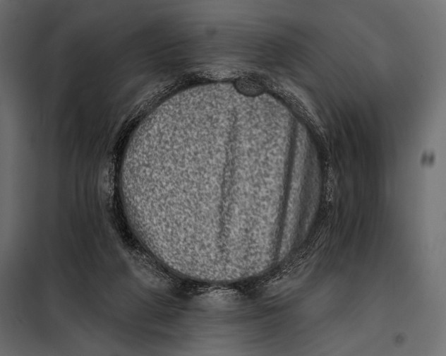 X0000098070210200804251446