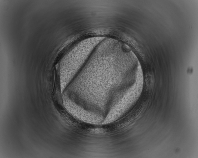 X0000098070212200804251446