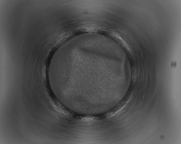 X0000098070213200804251446