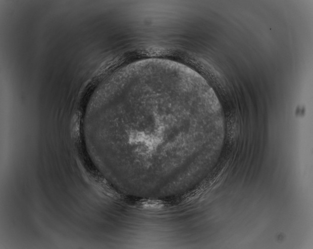 X0000098070214200804251446