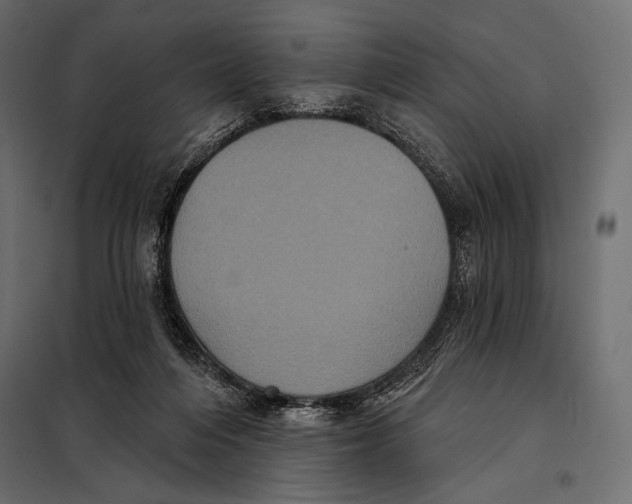 X0000098070216200804251446