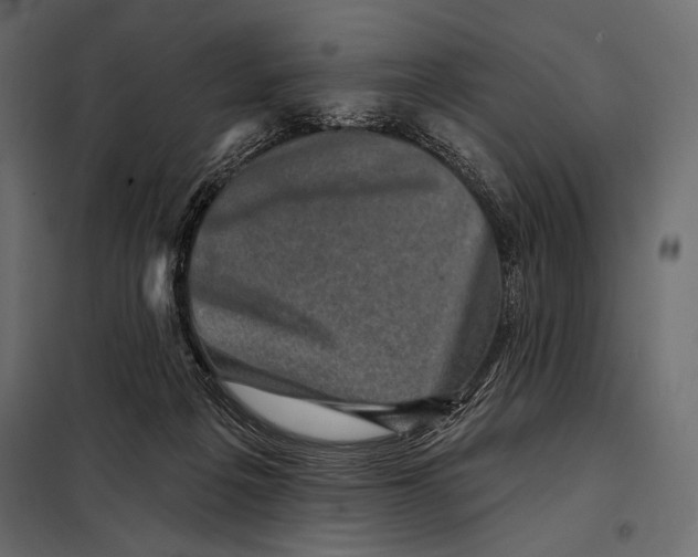 X0000098070217200804251446