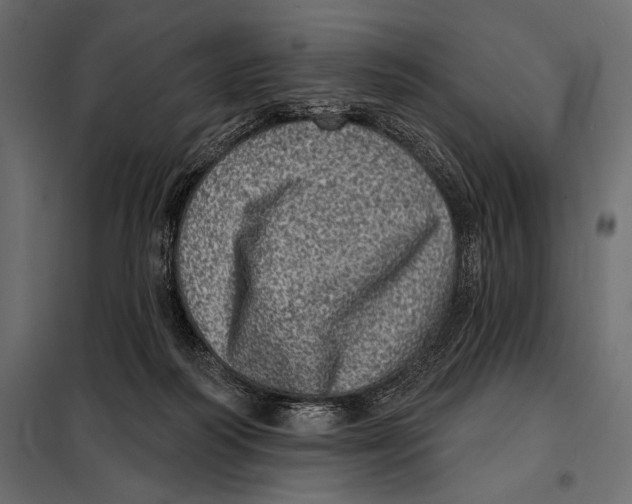 X0000098070218200804251446