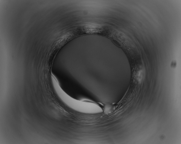 X0000098070219200804251446