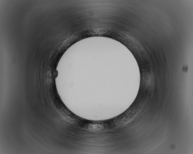 X0000098070220200804251446