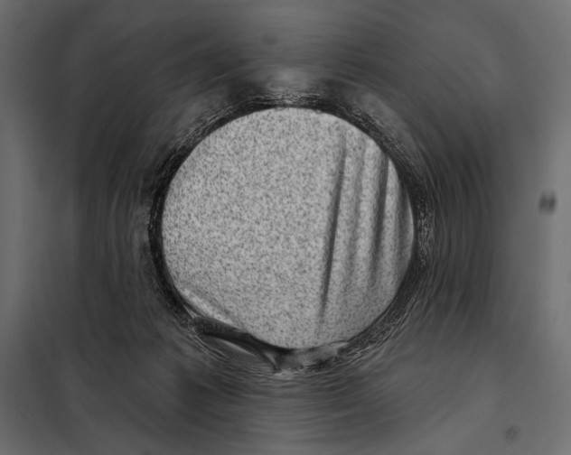 X0000098070221200804251446