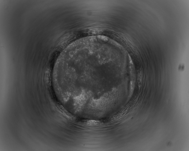 X0000098070222200804251446