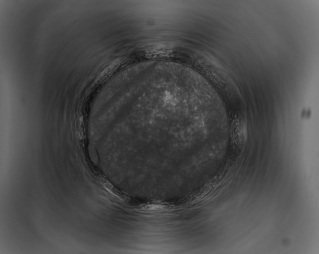 X0000098070224200804251446