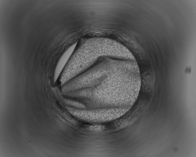 X0000098070225200804251446