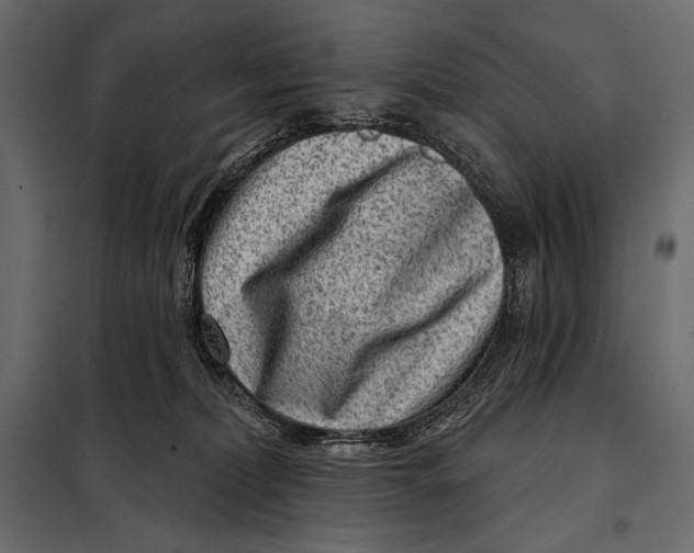 X0000098070228200804251445