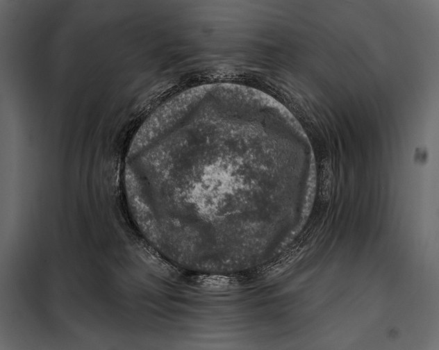 X0000098070230200804251445