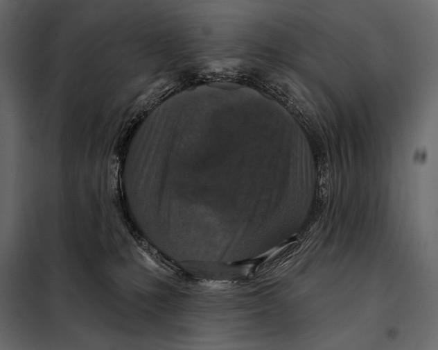 X0000098070231200804251445