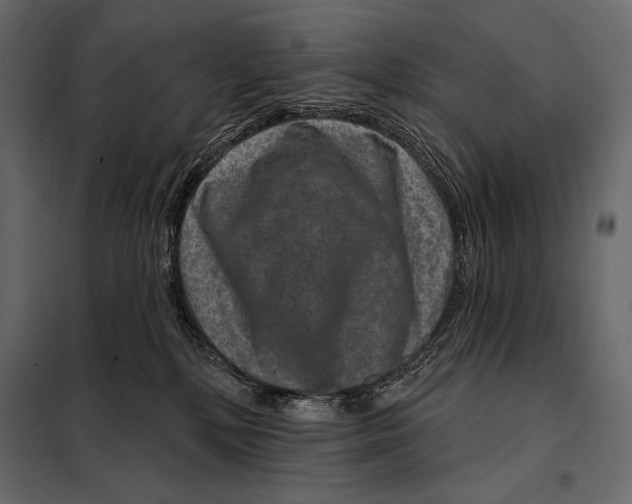 X0000098070232200804251445