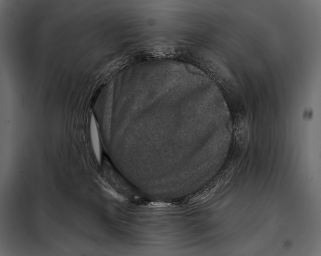 X0000098070233200804251445