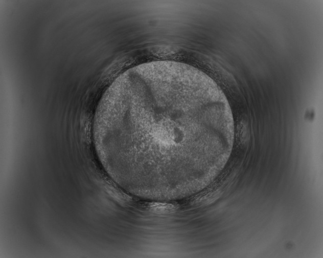 X0000098070234200804251445