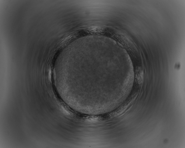 X0000098070235200804251445