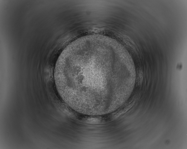 X0000098070236200804251445