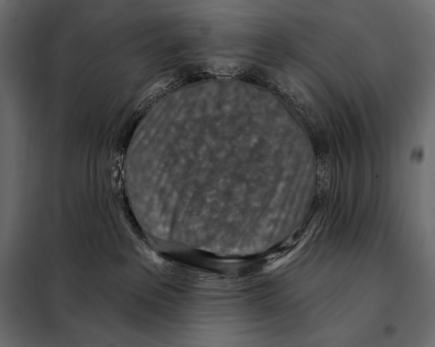 X0000098070237200804251445