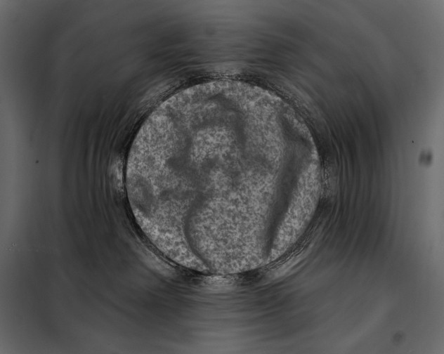 X0000098070238200804251445