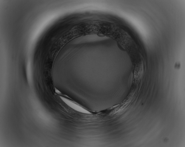 X0000098070239200804251445