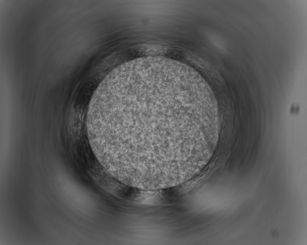 X0000098070240200804251445