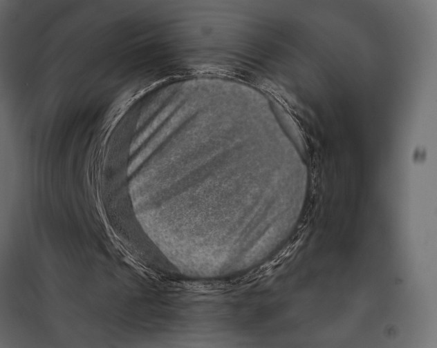 X0000098070241200804251444