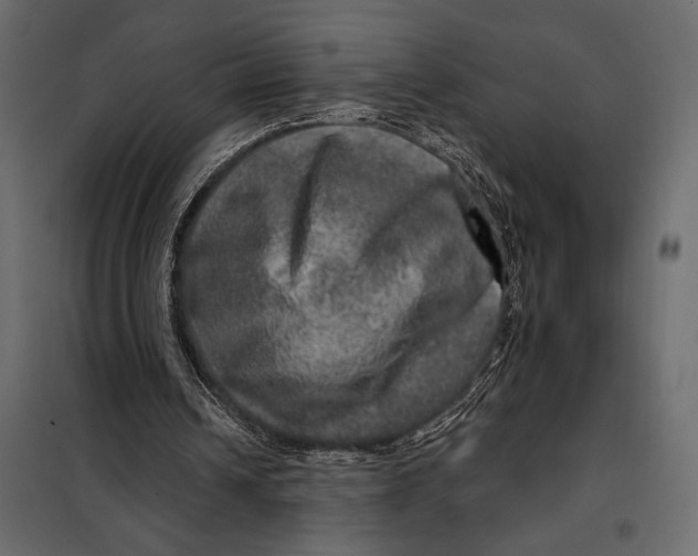 X0000098070242200804251444